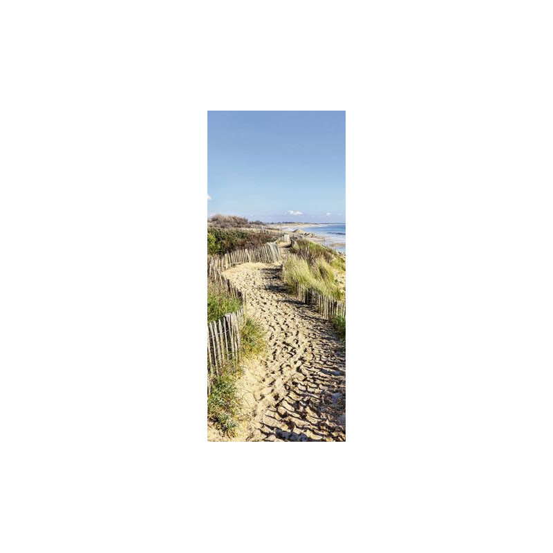 COASTAL PATH Poster - Door poster