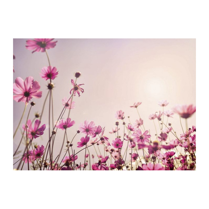 SPRING SIESTA Canvas print - Floral canvas print