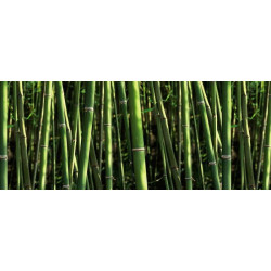 Brise vue BAMBOOS