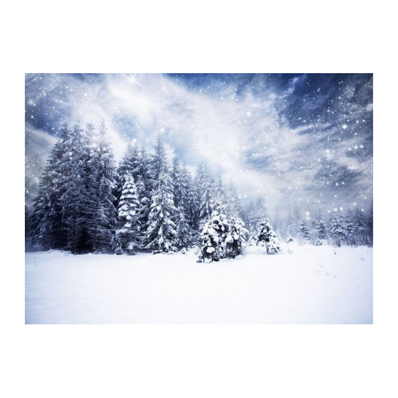 UNDER THE SNOW Canvas print - Mountain