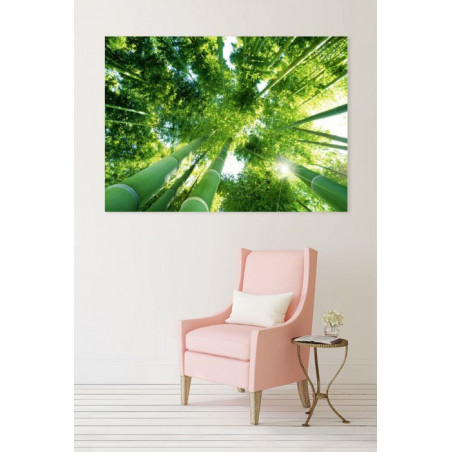 UNDER THE BAMBOO canvas print