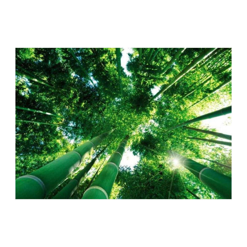 UNDER THE BAMBOO poster - Zen poster