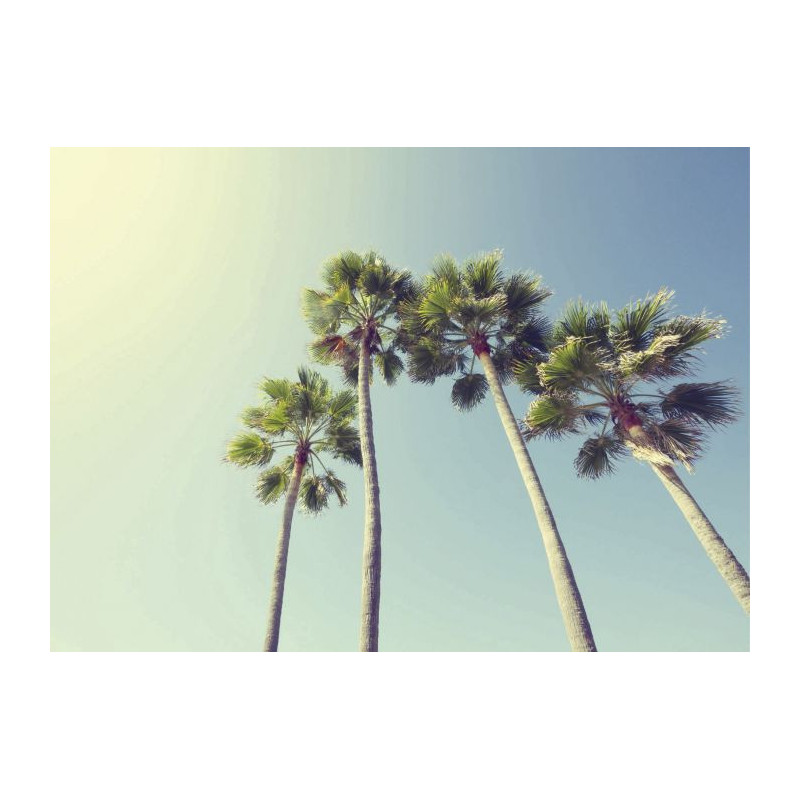 UNDER THE PALM TREES Canvas print - Canvas print for office