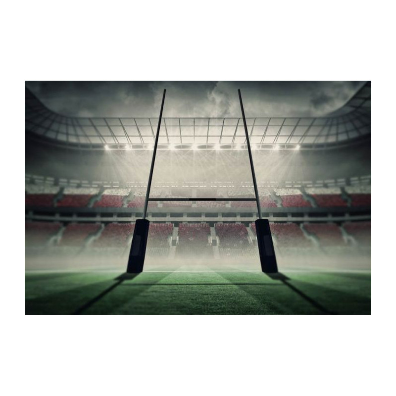 RUGBY STADIUM Wallpaper - Panoramic wallpaper