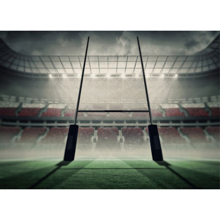 Tableau STADE DE RUGBY