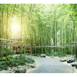 GREEN BAMBOO TREES Poster