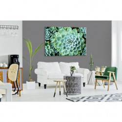 SUCCULENTE canvas print