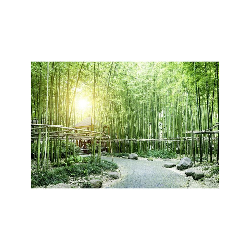 GREEN BAMBOO TREES Wallpaper - Bamboo wallpaper