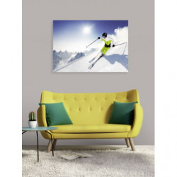 TELEMARK canvas print