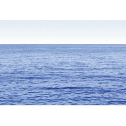 BLUE OCEAN poster