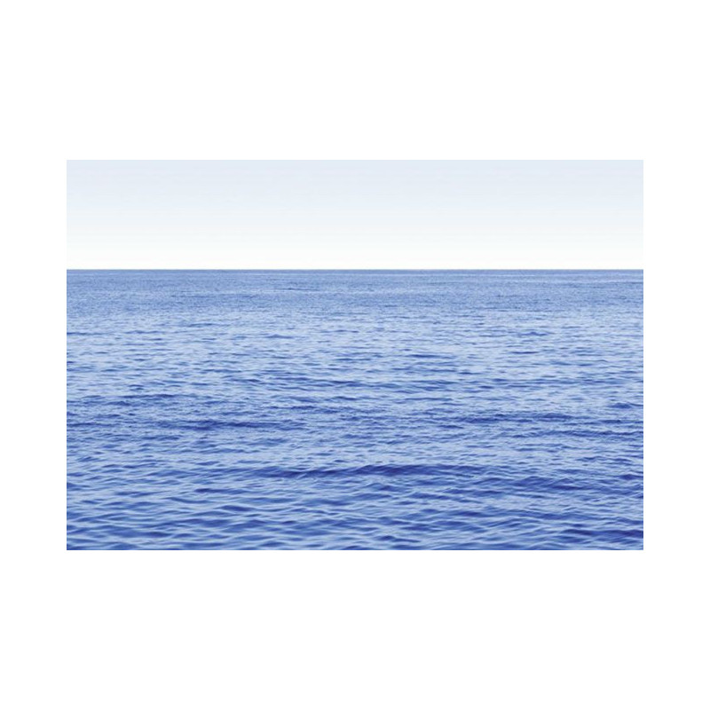 BLUE OCEAN poster - Panoramic poster