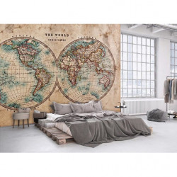 THE WORLD IN HEMISPHERES Poster