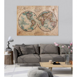 THE WORLD IN HEMISPHERES Canvas print