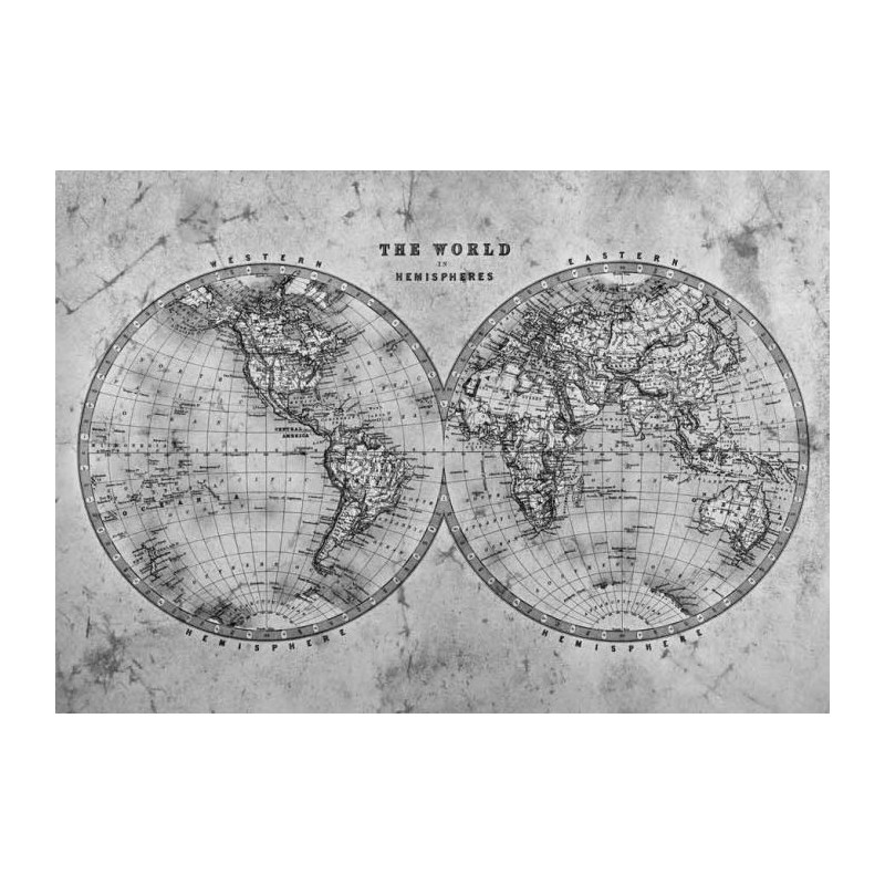 THE WORLD IN HEMISPHERES NB canvas print - World map