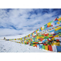 TIBET canvas print