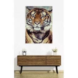 TIGER Canvas print