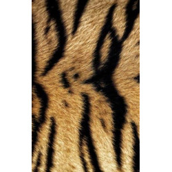BENGAL TIGER wall hanging