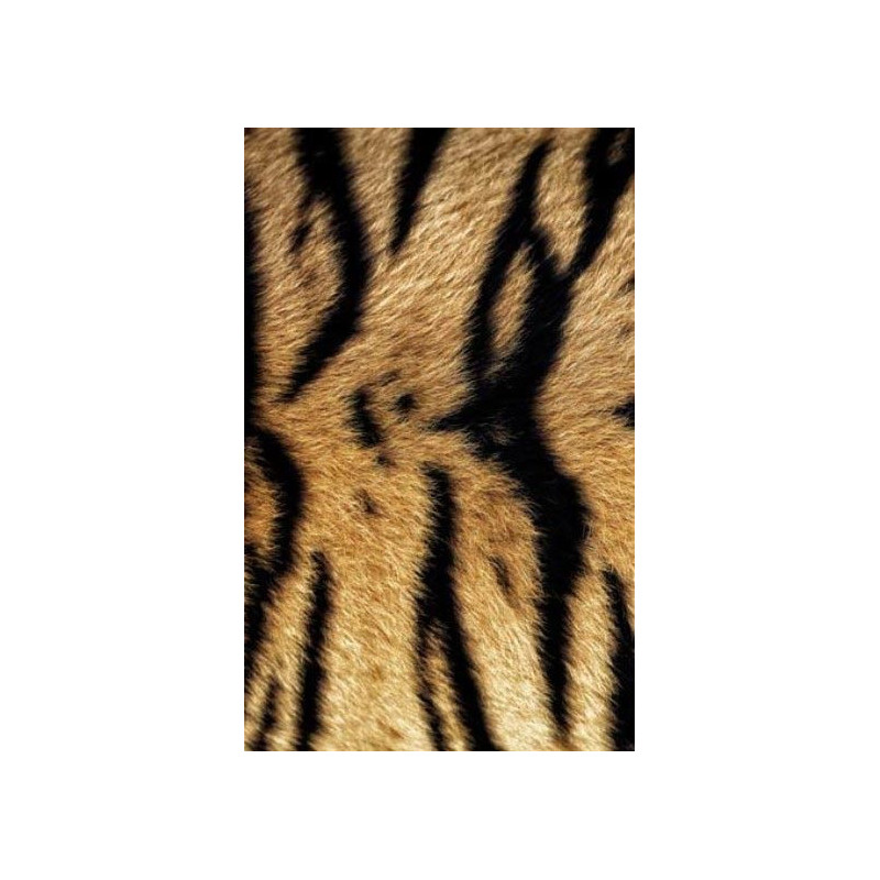 BENGAL TIGER wall hanging - Optical illusions wall hanging tapestry