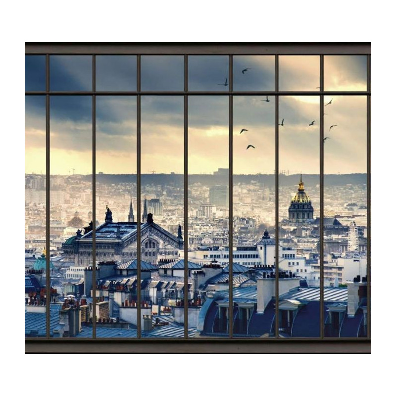 PARIS ROOFS Poster - Panoramic poster