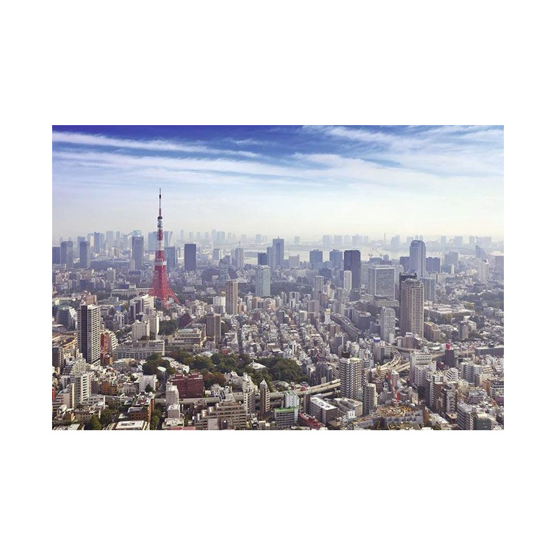 TOKYO poster - Panoramic poster