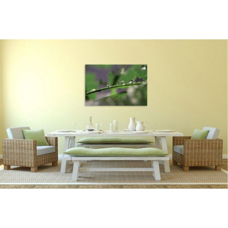 TRIBU canvas print