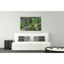 TRIBU canvas print