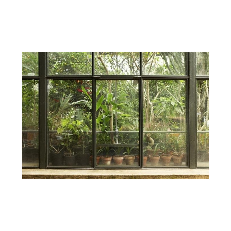 TROPICAL GREENHOUSE Poster - Panoramic poster