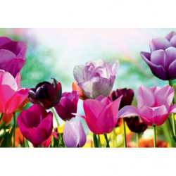 TULIPE COLORS Canvas print