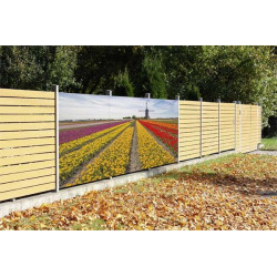 RAINBOW TULIPS privacy screen