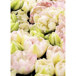 Tableau TULIPES ROSES