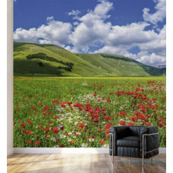 VALLEY OF THE POPPIES Poster