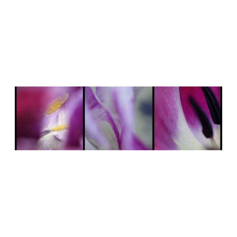 Tableau VAPOREUX - Tableau fleurs