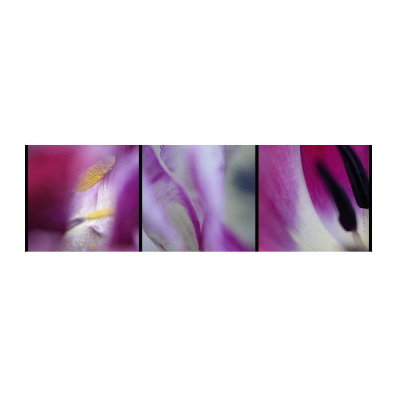 VAPOROUS canvas print - Floral canvas print