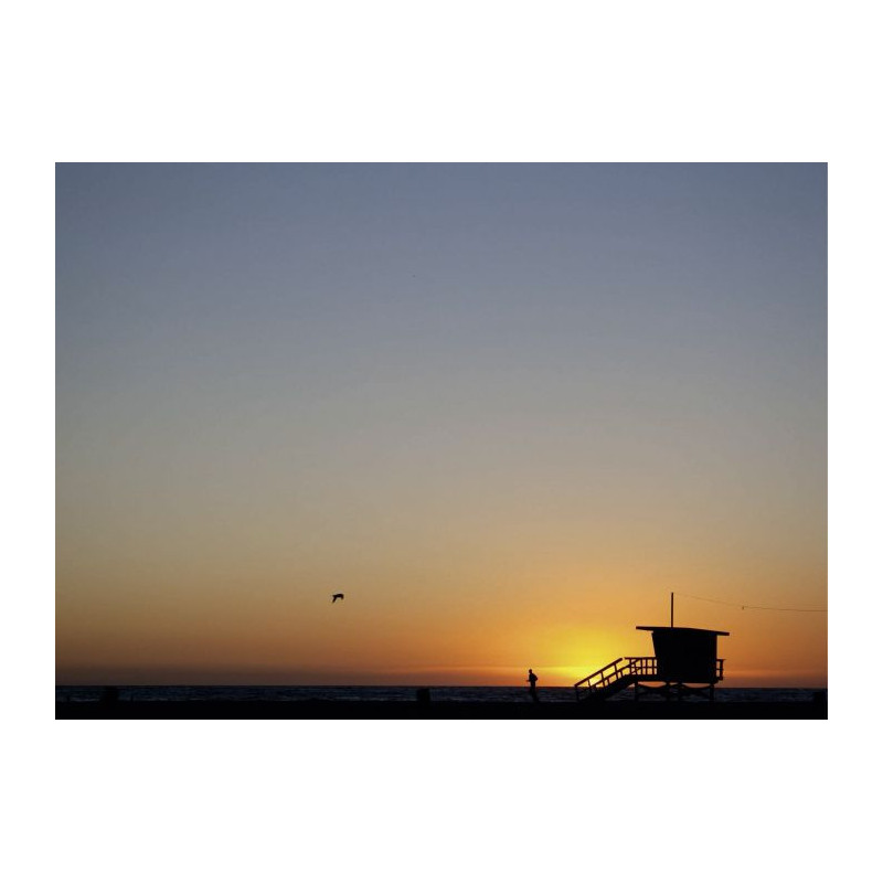 VENICE BEACH canvas print - Canvas print for bedroom