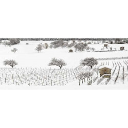 Brise vue VIGNES SOUS LA NEIGE