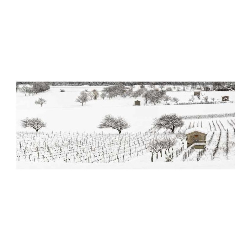 Brise vue VIGNES SOUS LA NEIGE - Brise vue paysage et nature