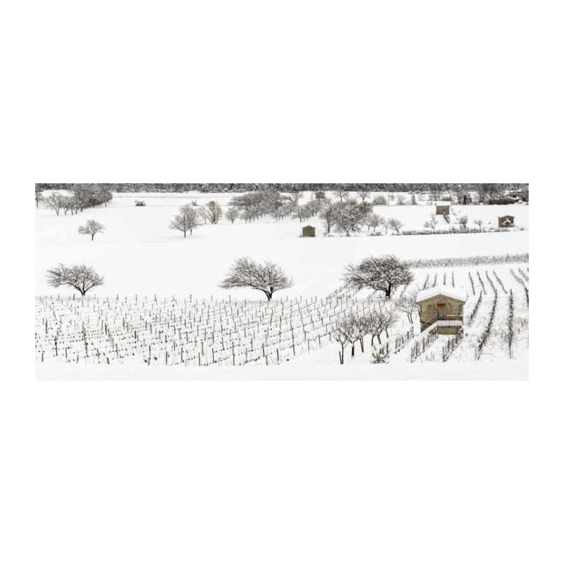 VINES UNDER THE SNOW privacy screen - Printed nature landscape privacy screen