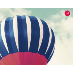 HOT AIR BALLOON FLIGHT Poster