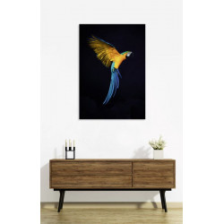 PARROT FLIGHT Canvas print