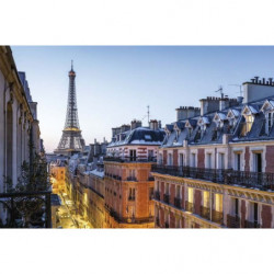 Tableau VUE SUR LA TOUR EIFFEL