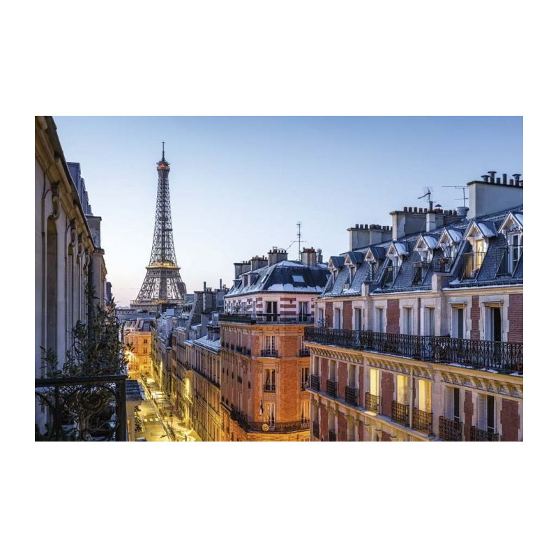 VIEW OF THE EIFFEL TOWER Canvas print - Paris