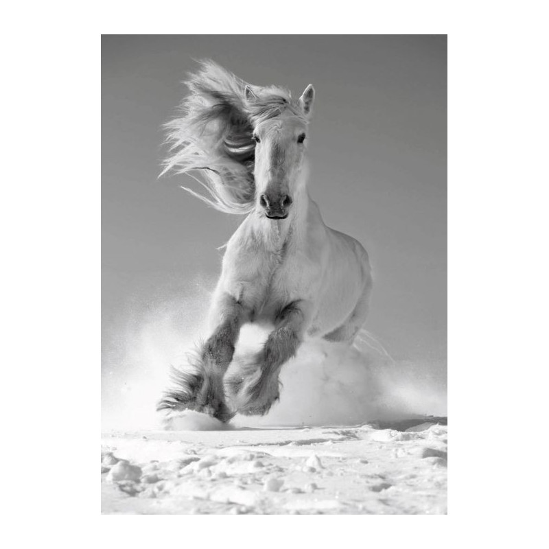 Tableau WHITE HORSE - Tableau animaux