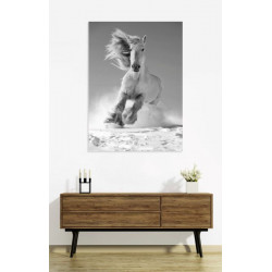 WHITE HORSE Canvas print