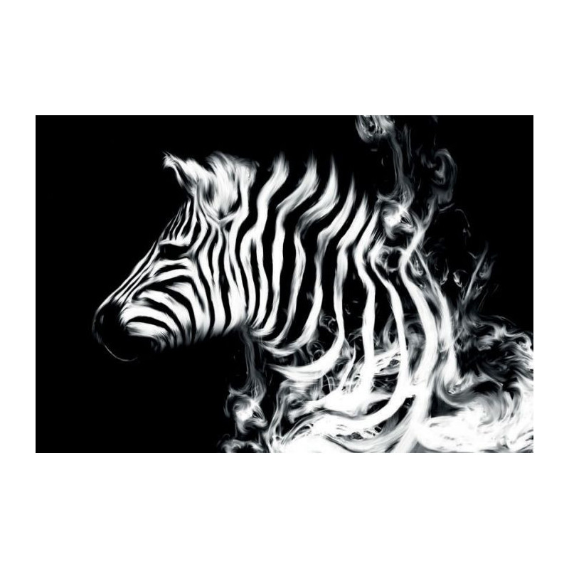 ZEBRART canvas print - Black white canvas print