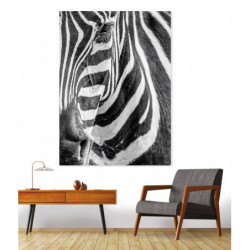 ZEBRE canvas print