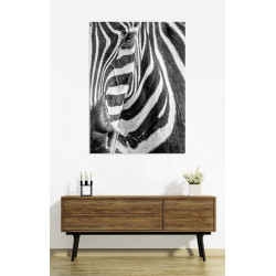 ZEBRE canvas print