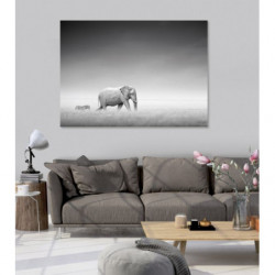 ZEBRA AND ELEPHANT Canvas print