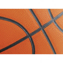 BASKETBALL canvas print