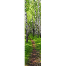 BIRCH PATH Wall hanging