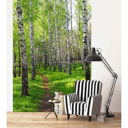 BIRCH PATH Poster